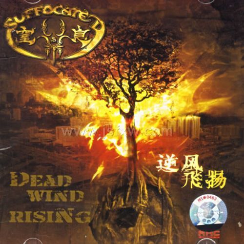 ������(CD)