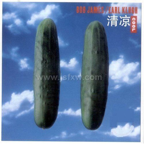 ����-BOB JAMES(�׽�ˮ׼�ľ�ʿ��ʦ�ٶ�֮��)�ؼ�