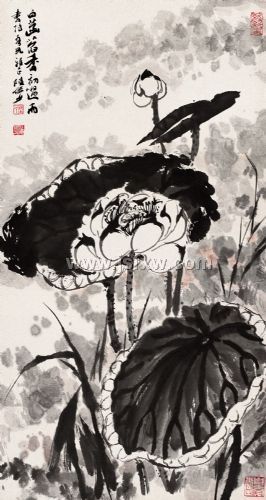 �ɻ�(½ٲ��)