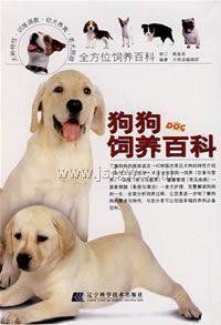 ���������ٿ�