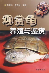 ���͹���ֳ�����