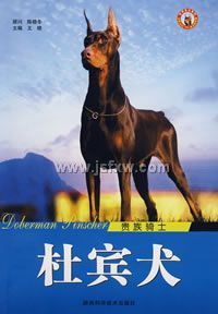 �ű�Ȯ ������ʿ