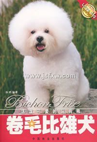 ��ë����Ȯ