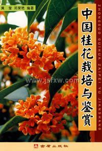 �й������������