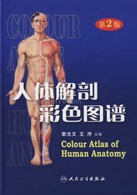 ������ʲ�ɫͼ�ף���2�棩