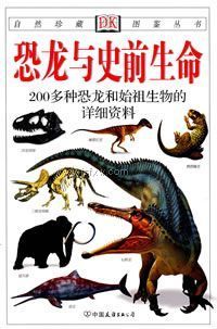 ������ʷǰ����