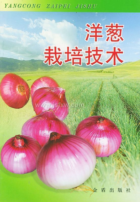 ��������༼����