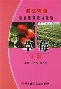 ͼ�ľ�����ʩ�������ྭ��.��ݮ�ֲ�