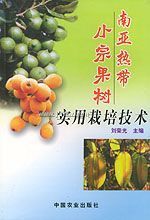 �����ȴ�С�ڹ���ʵ�����༼��