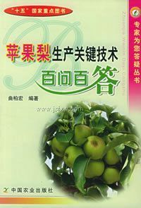 ƻ���������ؼ��������ʰٴ�