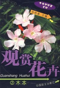 ���ͻ���2��ľ��