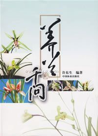 ����ǧ��