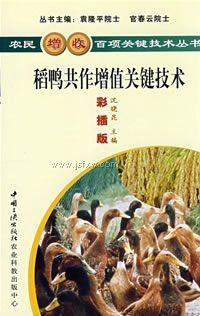 ��Ѽ������ֵ�ؼ�����