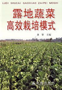 ¶���߲˸�Ч����ģʽ