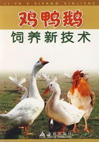 ��Ѽ�������¼���