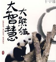 ����è���ǻ�