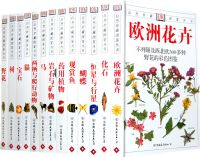 DK����ͼ�����-Ģ��