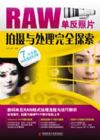 RAW������Ƭ�����봦����ȫ̽��