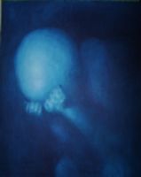 ����֮��