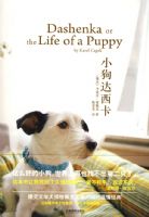 С��������