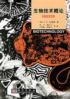 ���＼������