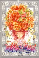 ������װ���������