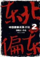 ����ƫ��2