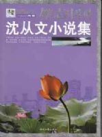 �����С˵��