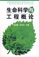 ������ѧ�빤�̸���