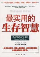 ��ʵ�õ������ǻ�