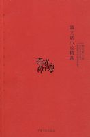 ���ı�С˵��ѡ