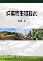 ��ά�����＼��