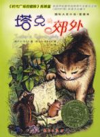 ���˵Ľ���---���ʴ�С˵�����ر�