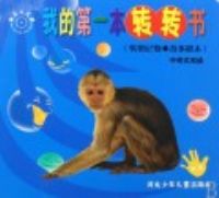 �ҵĵ�һ��תת�飨���