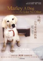 ����һֻ���ڲ�ͬ�Ĺ�