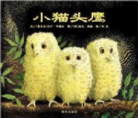 Сèͷӥ-�������羫ѡͼ����