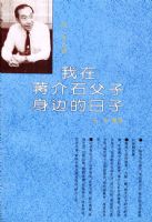 ���ڽ���ʯ�������ߵ�����