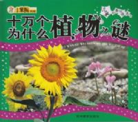 ʮ���Ϊʲôֲ��֮��