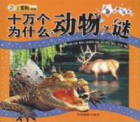 ����֮��