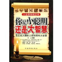 ����С�������Ǵ��ǻ�