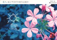 �ж�����