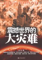 ������Ĵ�����