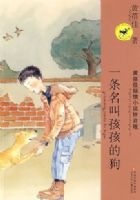 ����������С˵ƴ������һ�����к����Ĺ�