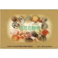 �껨ʯ����Ƭ����