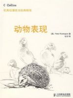 ŷ��������������̡̳����������