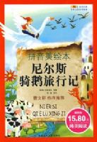 ����������ѧ��ѡ(ƴ�������汾)�����˹������м�