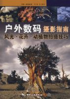 ����������Ӱָ��