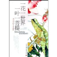 һ��һ����,һҶһ���᣺��ѧ�е���������