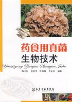 ҩʳ��������＼��