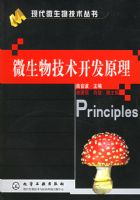 ΢���＼������ԭ�������ִ�΢���＼������